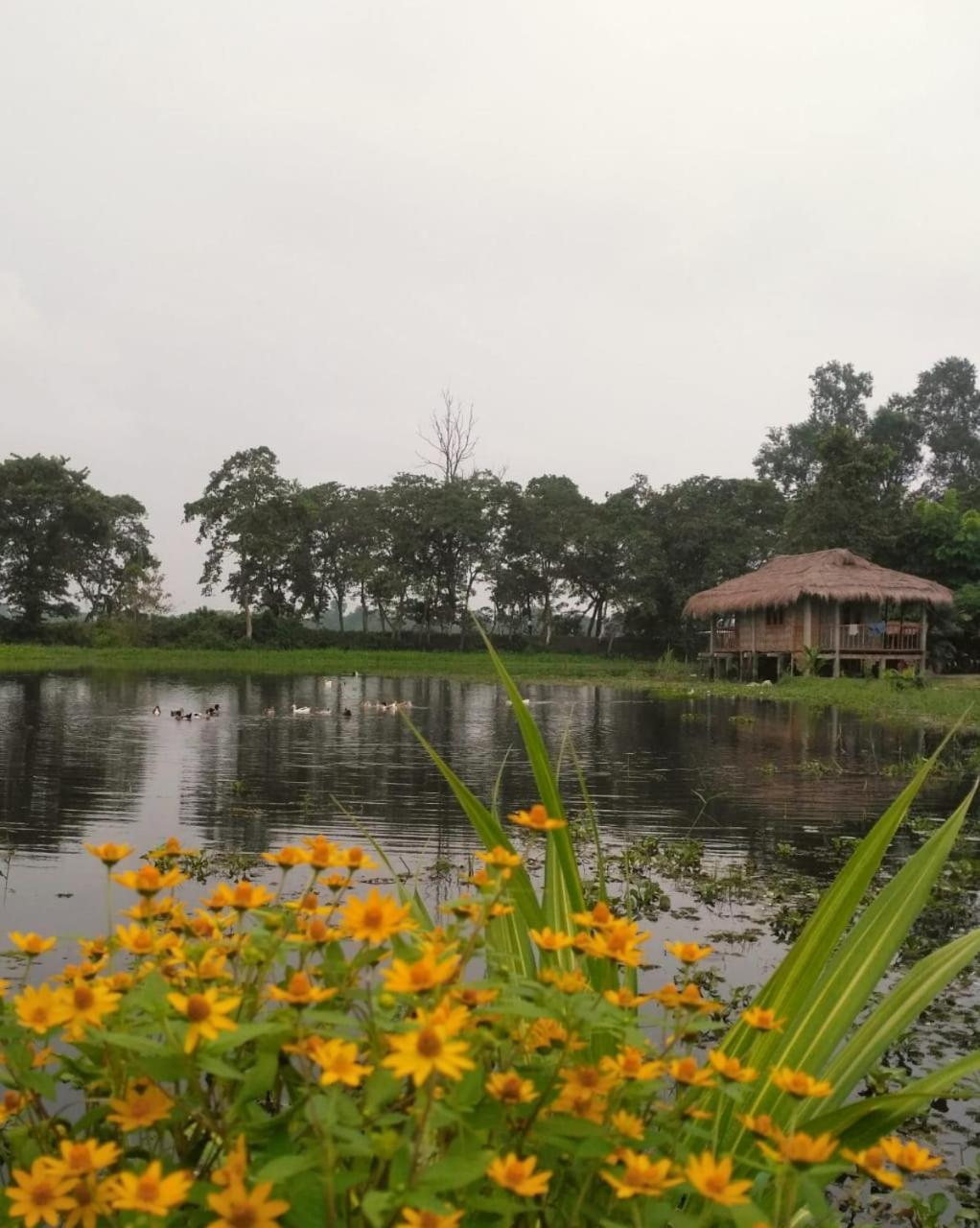 Yagdrasill Bamboo Cottage Bamungaon Екстер'єр фото